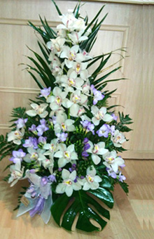 floristas en almazora