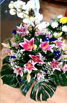 floristerias en almazora