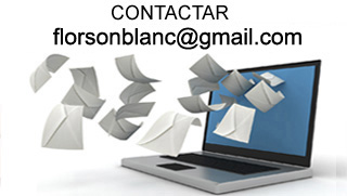 floristerias en castellon