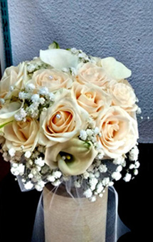 floristerias en almazora
