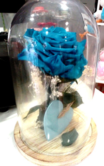 flores preservadas